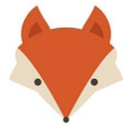 狐狸视频色版app